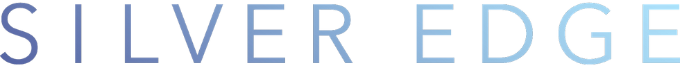 Silver Edge Digital Text logo