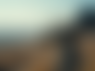 Exploring the World's Largest Armature Telescope