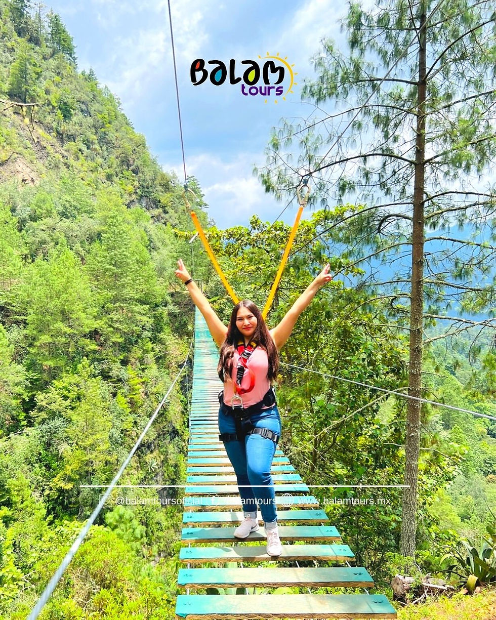 Miniatura: Entre bosques y nubes: San José del Pacífico