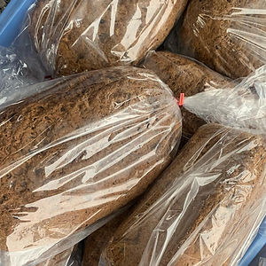 Frozen Bread Loves - 100% Vegan/Gluten-Free