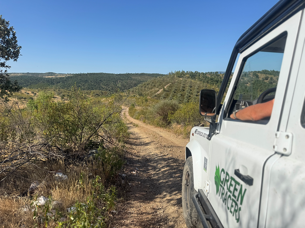 Een witte GreenTracers-4x4 op een landelijke piste door de heuvels van Portugal.