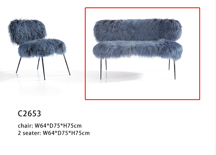 C2653