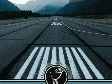 tapa del libro el vuelo interminable