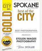 Gold - City Award - NW STOLEN IMAGES