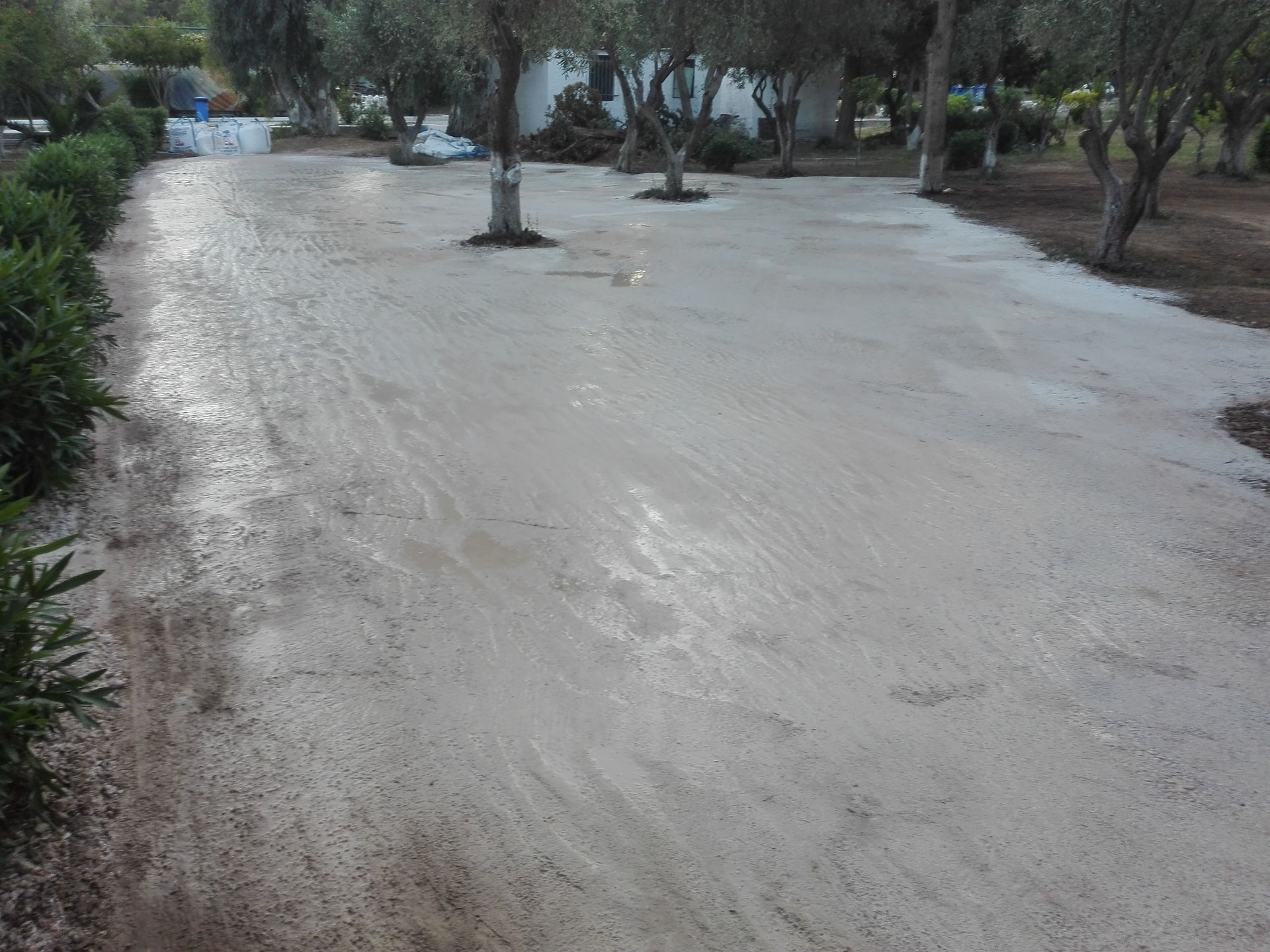 κατ γηπ  46  πολύ νερό