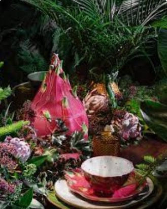 Miniature : Boîte Fruit du Dragon (Gamme : Fruits Tropicaux)