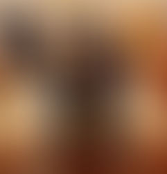 Новое место для занятия Вин Чун!