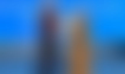 Raksts DELFI.LT par Si-Fu Linas Gudonavičius!