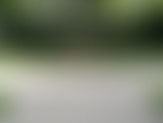 Atvērst Wing Tsun treniņš Ziedoņdārzā!