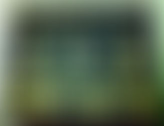 IWTA oficiālā atbilde uz EWTO 2025. gada 26. janvāra paziņojumu.