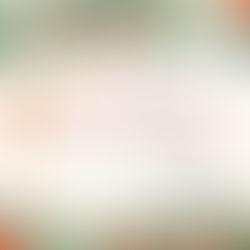 Noslēguma seminārs un Ziemassvētku vakariņas!