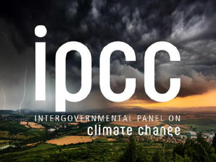 Var finns koncensus i klimatfrågan?