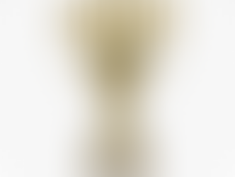 Climate: The Movie vann priset för bästa internationella dokumentär på Freedom Fests Anthem Film Festival