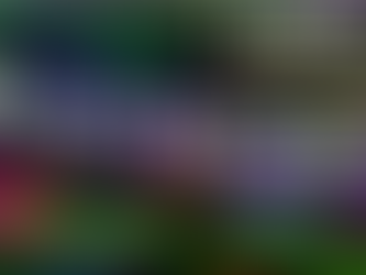 COP30 - Desinformation om klimatet skall nu motarbetas kraftigare