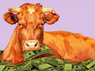 Kofisarna skall bort med Bill Gates hjälp