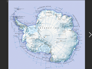 Antarktis blir allt grönare – mossa brer ut sig