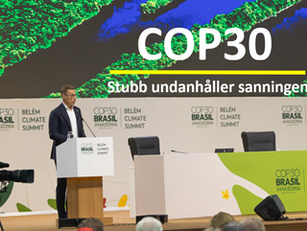 COP30 - President Stubb har fel