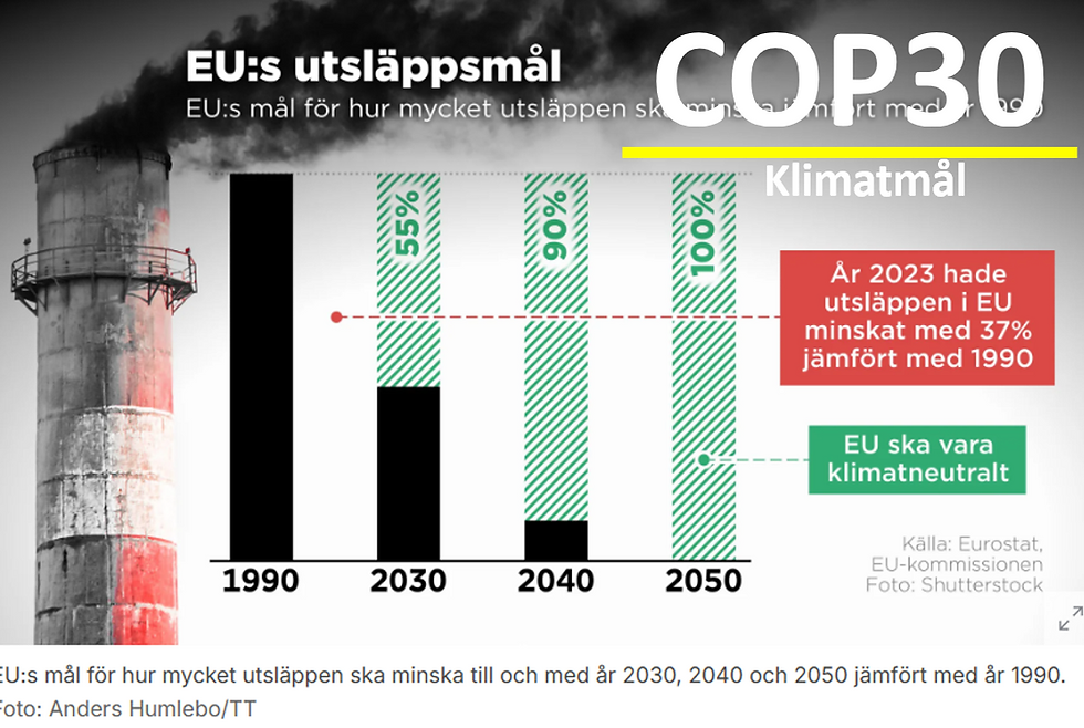 COP 30 - Är ländernas klimatmål och planer rimliga?
