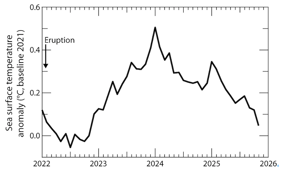 Figur 2. Klimathändelsen 2023 kan tydligast ses i den globala havsytemperaturavvikelsen (NOAA, 60°N–60°S, baslinje 2021). Den började i december 2022. I november 2025 har 90 % av uppvärmningen från händelsen 2023 försvunnit.