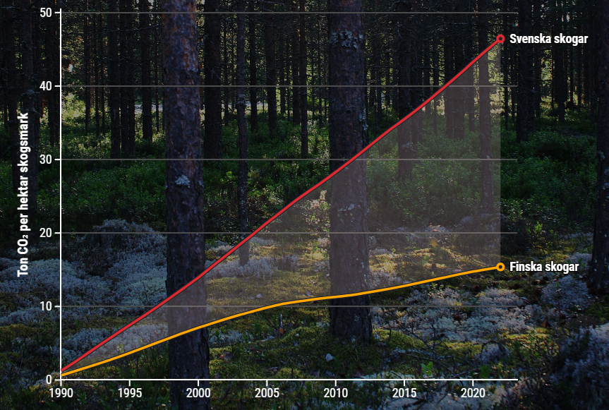 Har uppfattningen om skogens förmåga att suga upp koldioxid överskattats?  