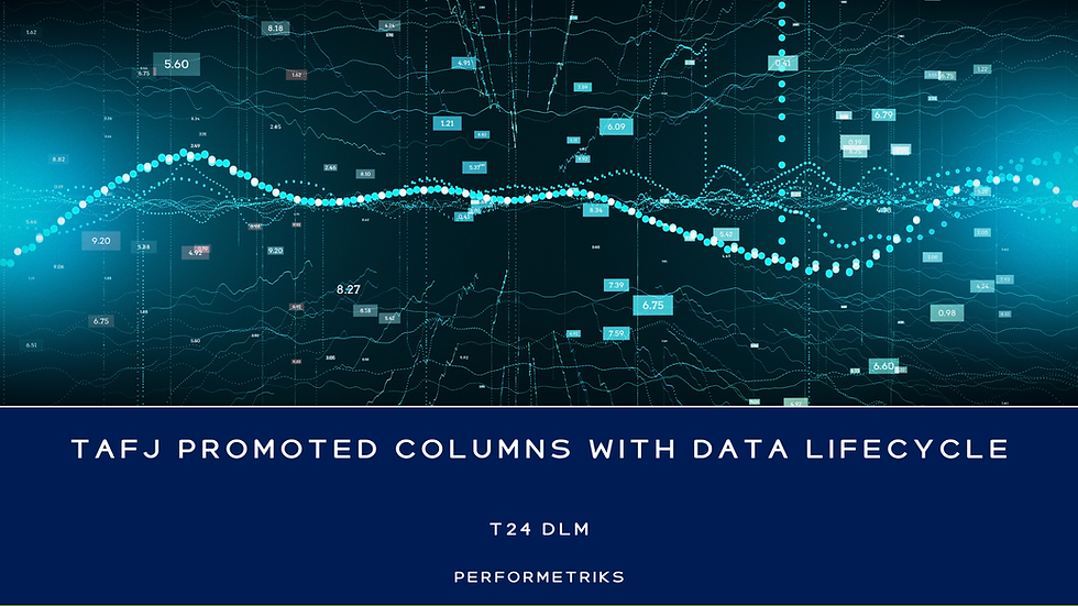 TAFJ Promoted Columns with Data Lifecycle Management