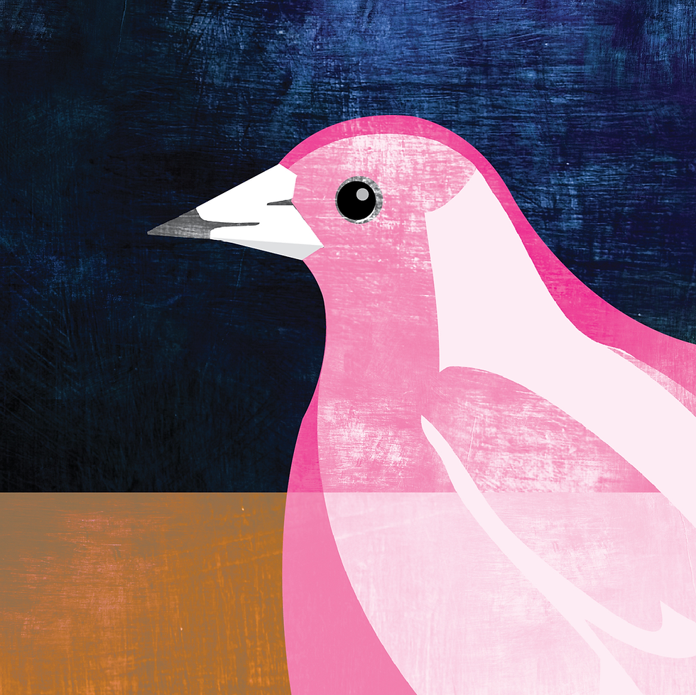 Thumbnail: SPRING BIRDS - Pink & White Maggie