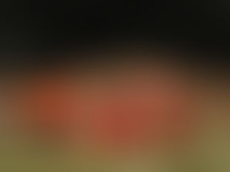 surecan gas cans in front of leaves and leaf blower