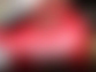 Real Review: SureCan Gas Cans