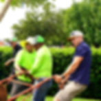 landscaping crew planting a tree