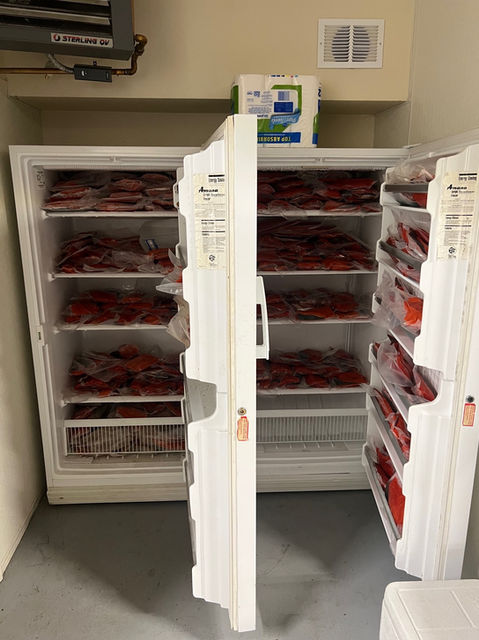 freezers for fish