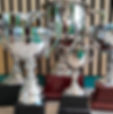 SILVER CUPS_edited.jpg