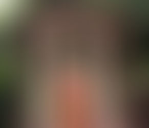 Premium Designer Sarees: Where Luxury Meets Craftsmanship