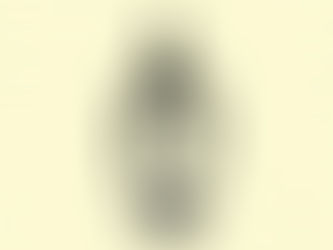 Illustration of a Acharya Sushrata with a topknot and a serene expression. A "U" symbol on his forehead. Black lines on a light background.