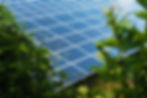 iStock-1459361789.jpg