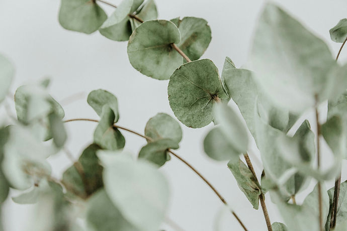 UNSPLASH TEXTURES AU7