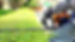 Hedge trim.jpeg