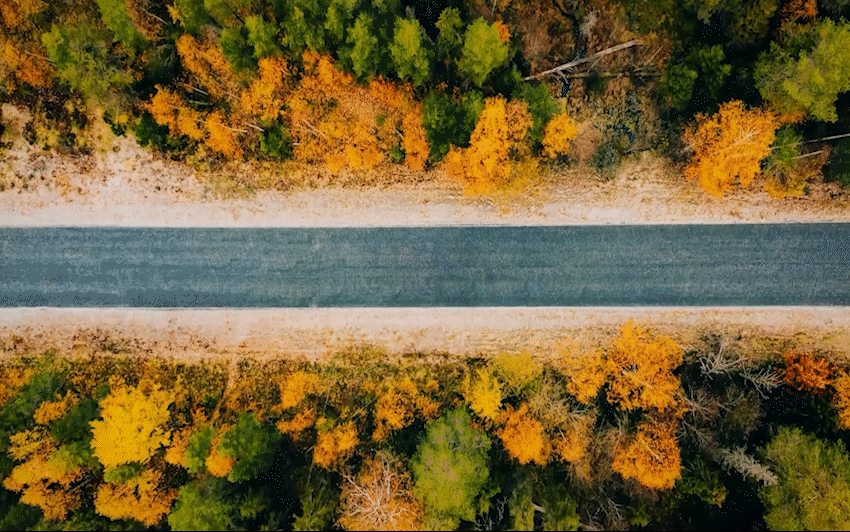 Drone_15.gif