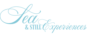 Sea & Still Working (1).png