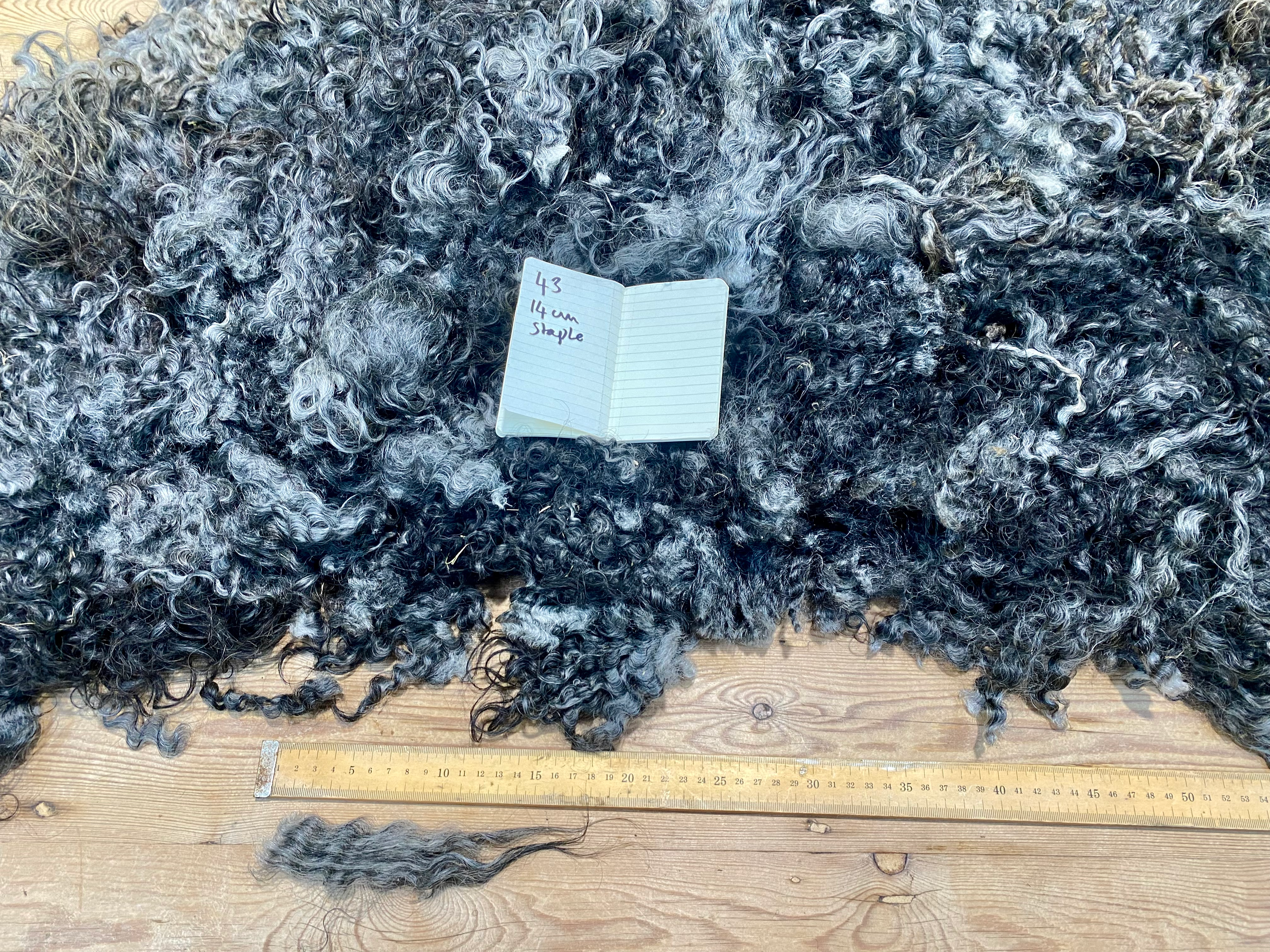 Raw Gotland Fleece - Carolann