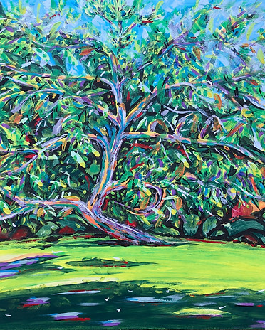 The Parrish's Mesquite Tree