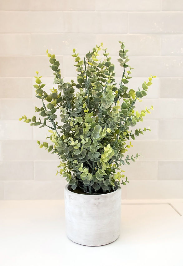 indoor plant trellis MCM Tulip Indoor Houseplant Trellis (Wood) main image 1