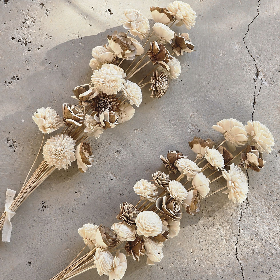 non toxic flowers for your home