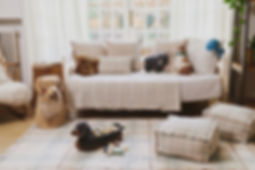 plaid rug for boys room