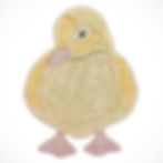 kids room duck rug