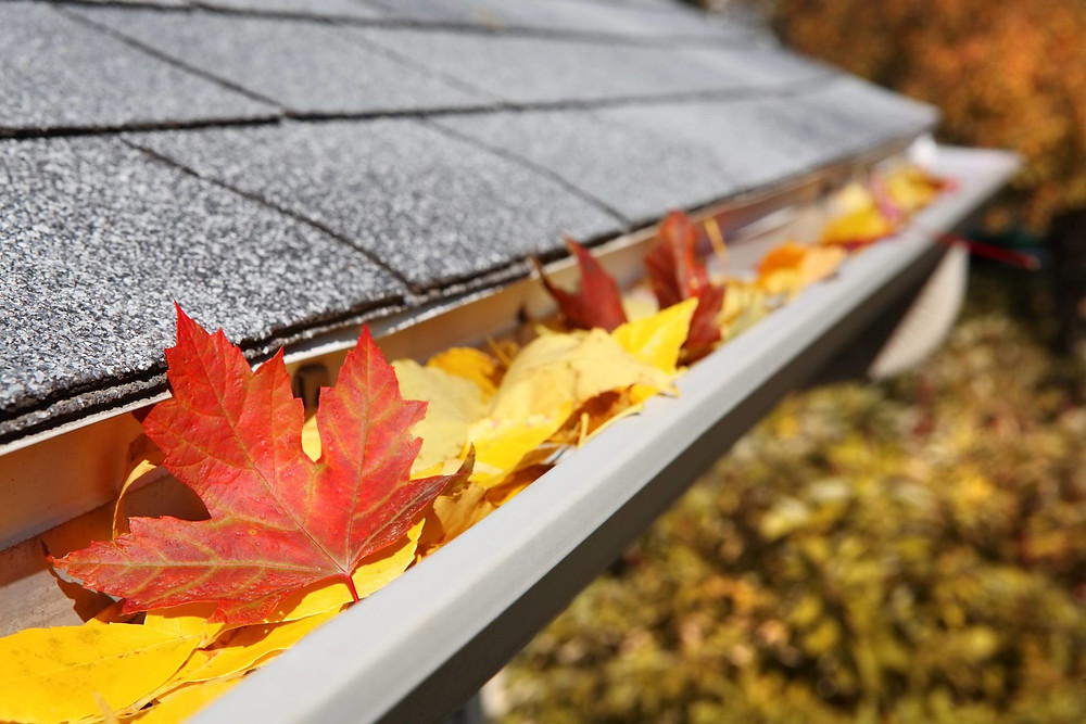 Keep leaves out of gutters