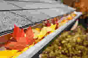Keep leaves out of gutters
