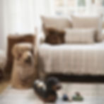 natural cotton throw plaid