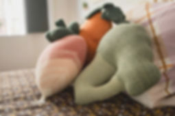 veggie pillows