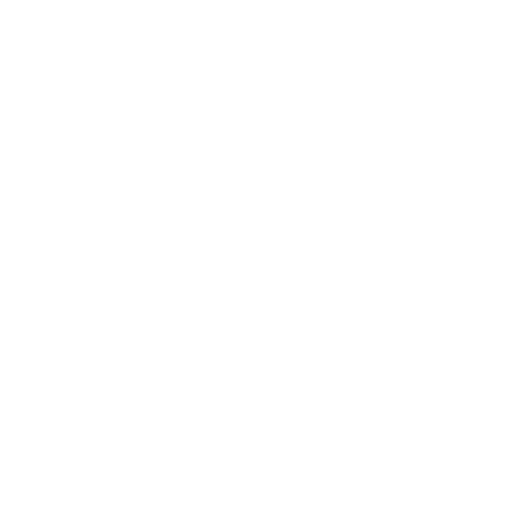 logo .png