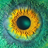 u2972266168_Extreme_macro_close-up_of_a_human_iris_yellow_cen_08dc8ae9-5290-48df-bff6-8bf7